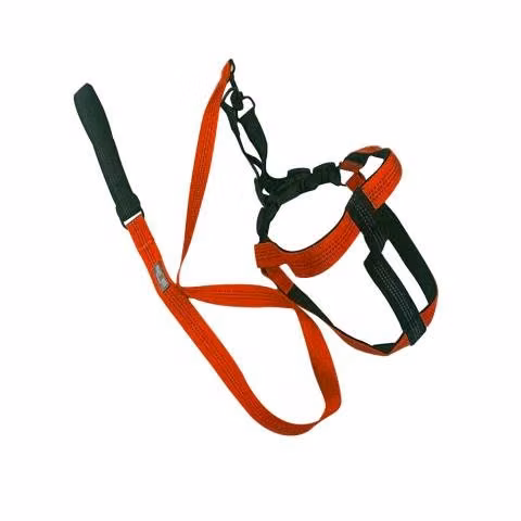 Arnes con Correa Mascotas Resistente y Ajustable N
