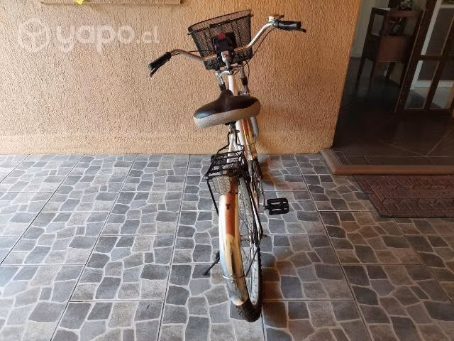 Bicicleta de paseo - Imagen 2
