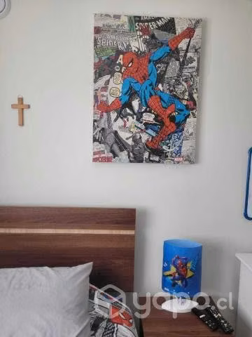 Artículos Spiderman Niño