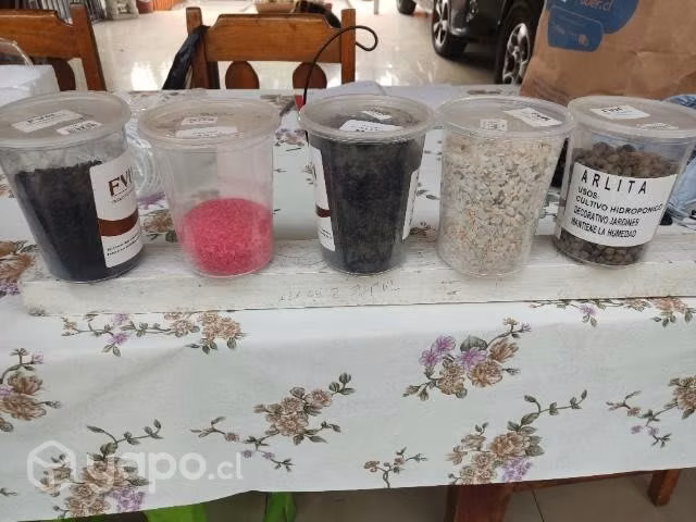 Terrarios colgantes suculentas
