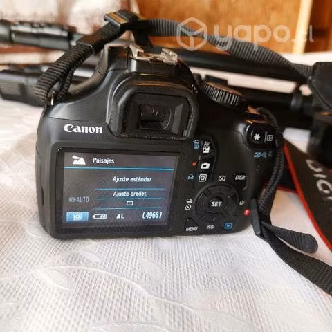 Cámara fotográfica Profesional Canon