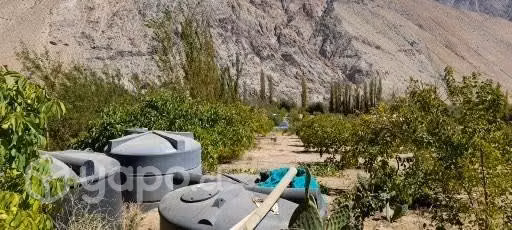 Parcela agrícola Horcón - Valle de Elqui