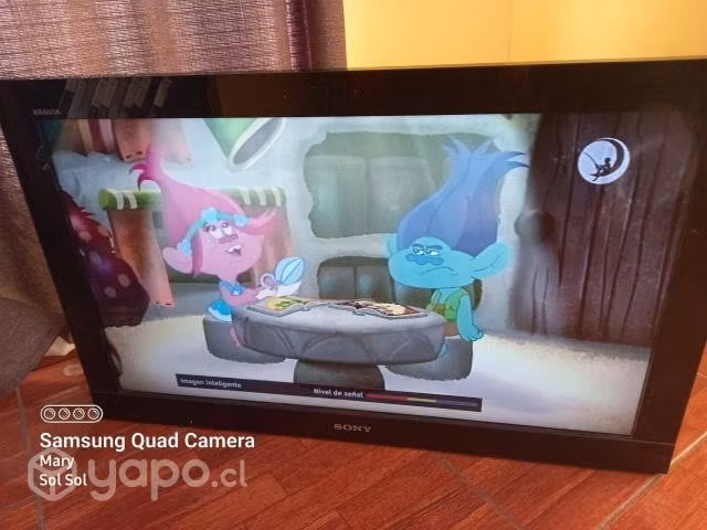 Televisor