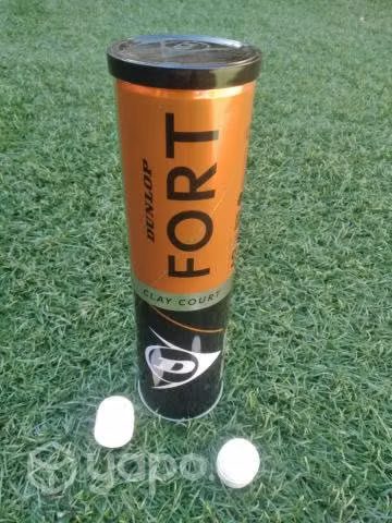 Tarro de pelotas Dunlop y Overgrip Wilson