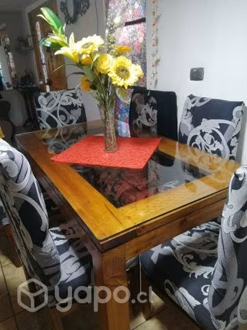 Living y comedor