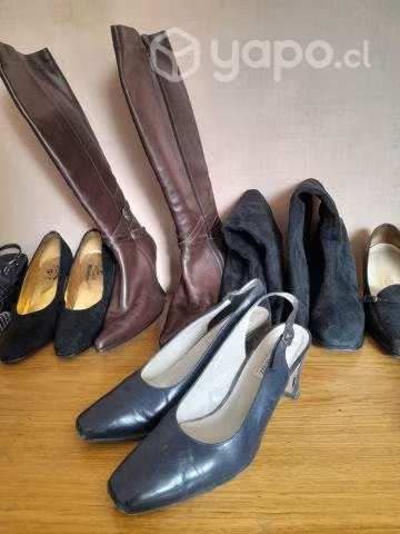 Calzado femenino y carteras