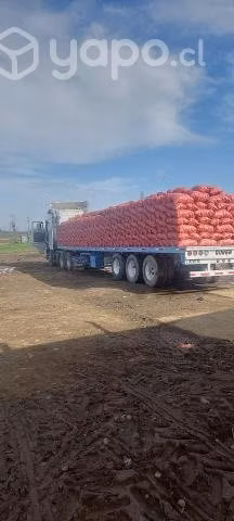 Papas del sur