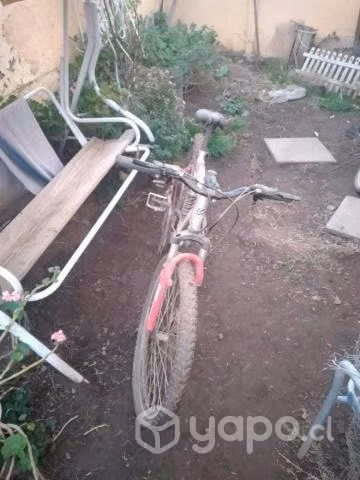 Mountain bike paragon - Imagen 2