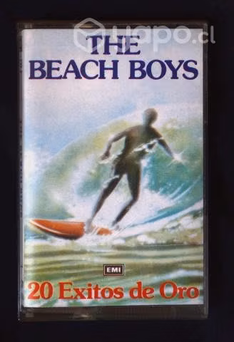 The beach boys