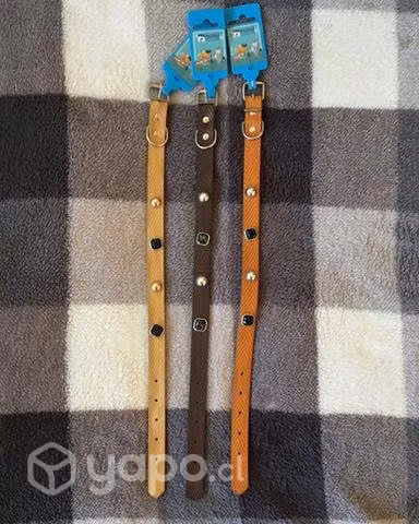 Collar Perro