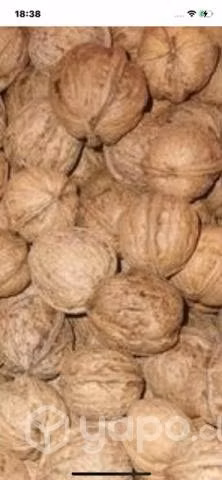 Nueces cáscaras
