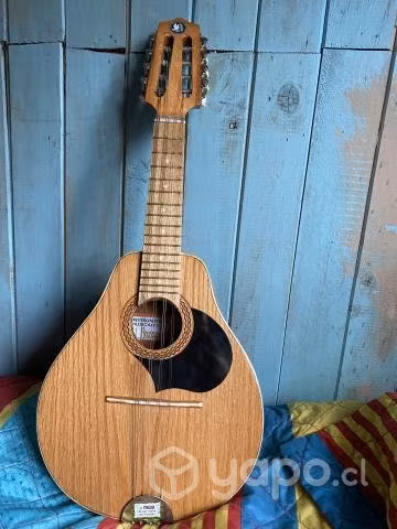 Mandolina