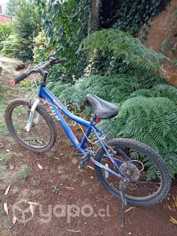 Bicicletas buen estado