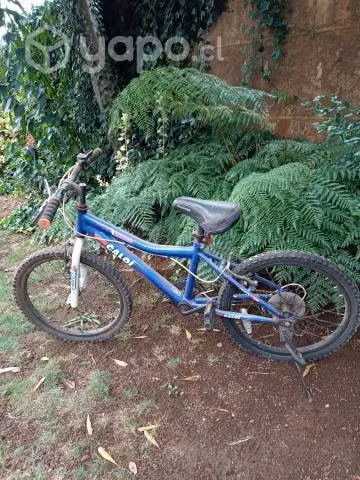 Bicicletas buen estado