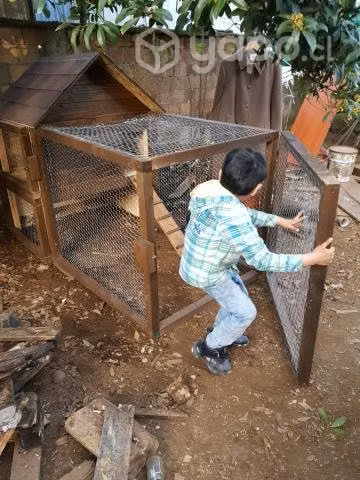 Gallineros de gran calidad y material firme