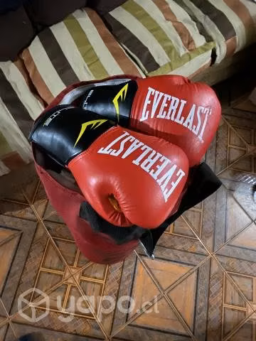 Saco y guantes de box Everlast - Imagen 2
