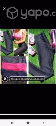 Calsas standar