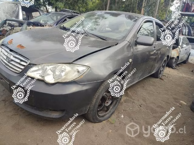 Capot byd f3 2009