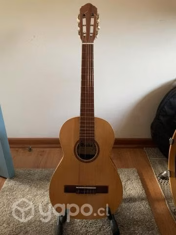 Guitarra acústica Mesko