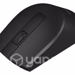 Mouse Inalámbrico Philips