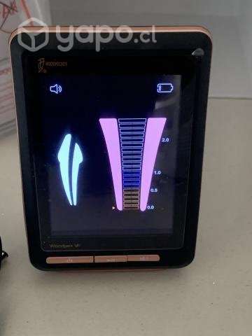Localizador apical woodpecker - Imagen 4