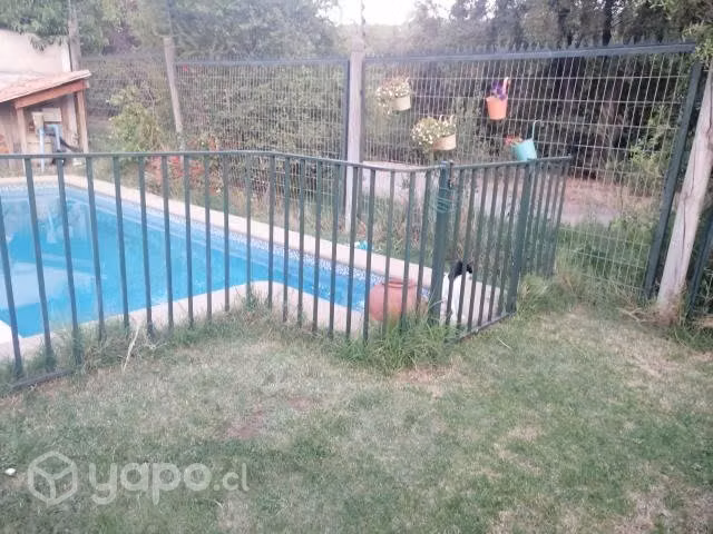 Reja picsina