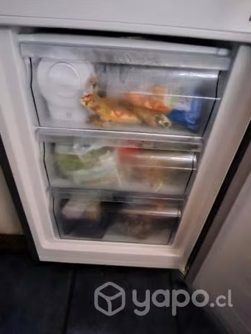 Refrigerador Hisense Bottom freezer 262 litros