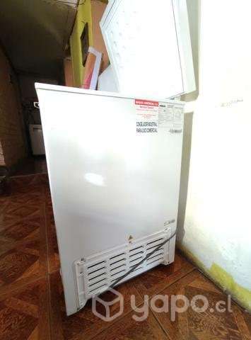 Cooler + estractor de jugo Thomas - Imagen 4