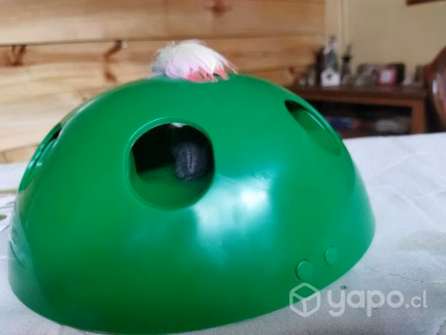 Juguete para gatos
