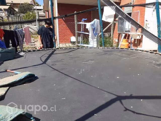 cama elastica grande