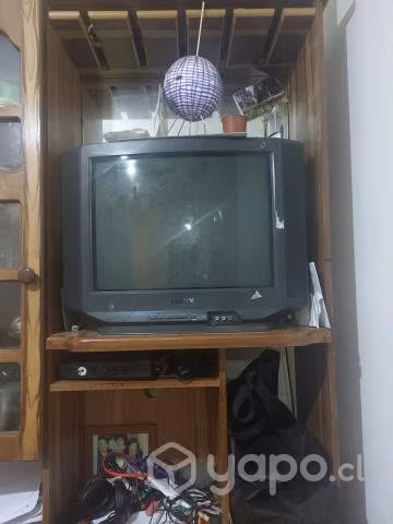 Tv Buen estado