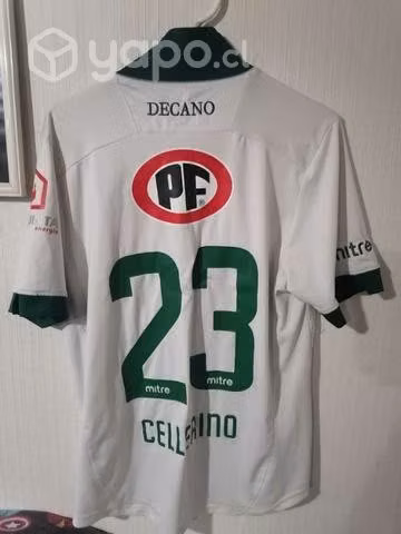Camiseta Santiago Wanderers