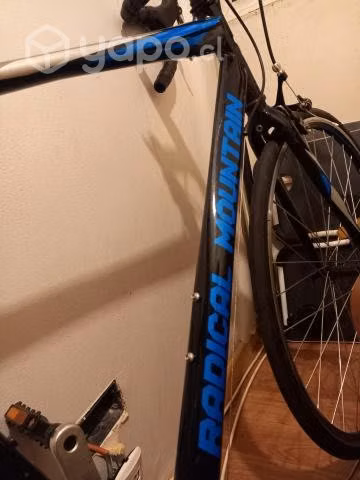 Permuto bicicleta pistera por cámara profesional