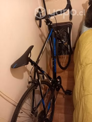 Permuto bicicleta pistera por cámara profesional