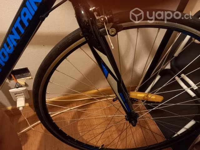 Permuto bicicleta pistera por cámara profesional