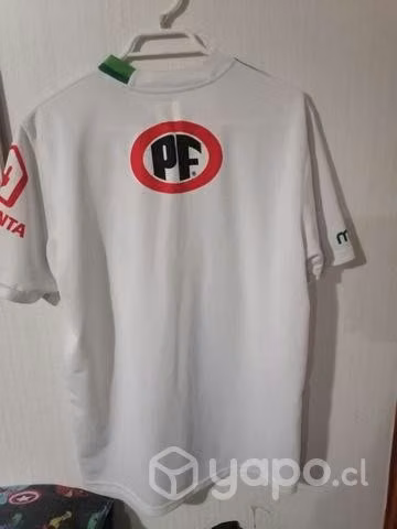 Camiseta Santiago Wanderers