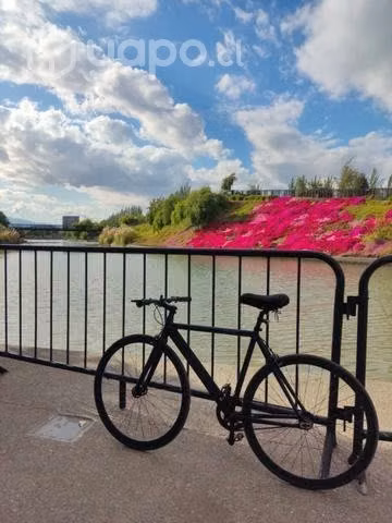 P3 Cycles - Track 2022 - Imagen 2