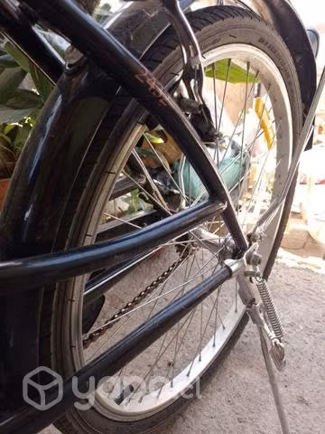 Bicicleta de paseo