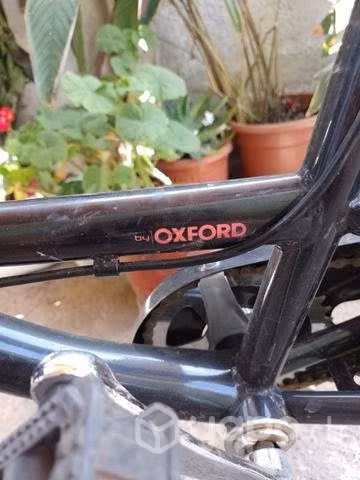 Bicicleta de paseo