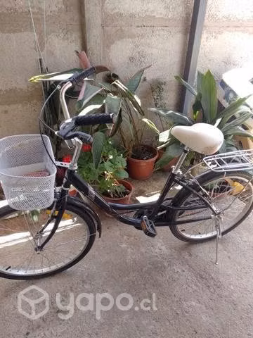 Bicicleta de paseo