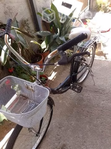 Bicicleta de paseo