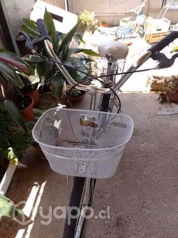 Bicicleta de paseo
