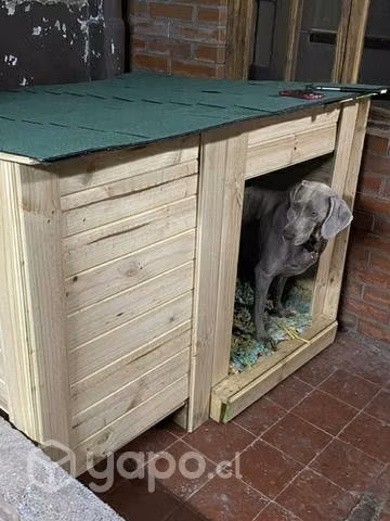 Casa doble perro grande