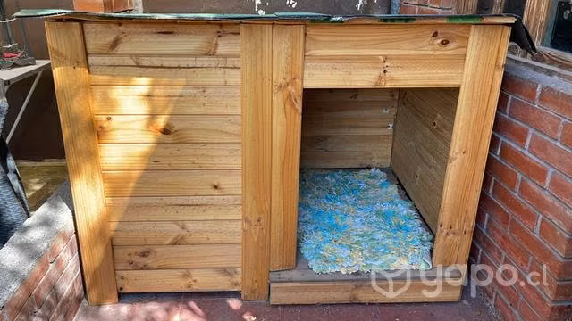 Casa doble perro grande