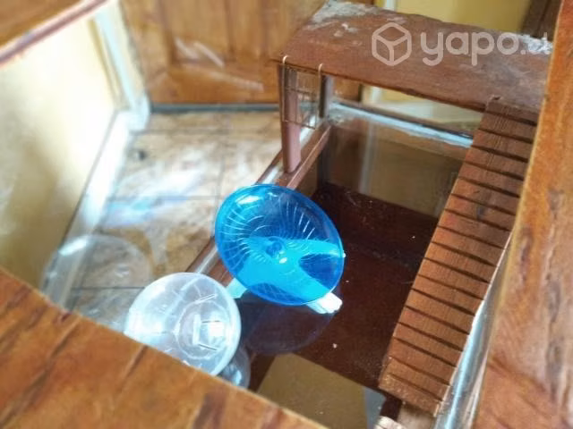 PECERA DE VIDRIO HAMSTER + ACCESORIOS/ 100x40x38