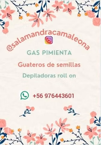 Guateros de semillas , termpoterapia - Imagen 2