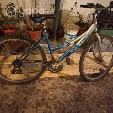 Bicicleta