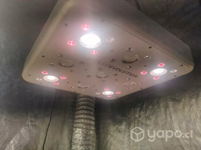 Foco para cultivo Apollo Evo 9 led grow light