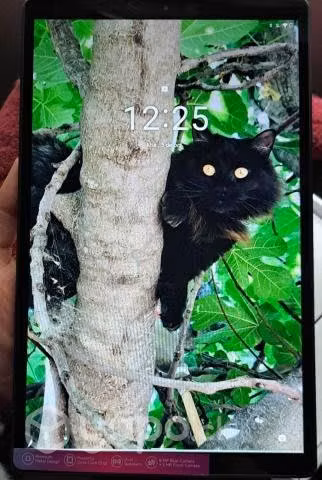 Iphone 7 (32gb), Tablet Lenovo Tab M10 HD