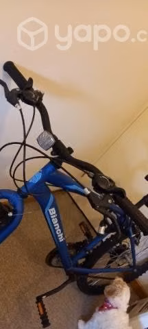 Bicicleta poco uso